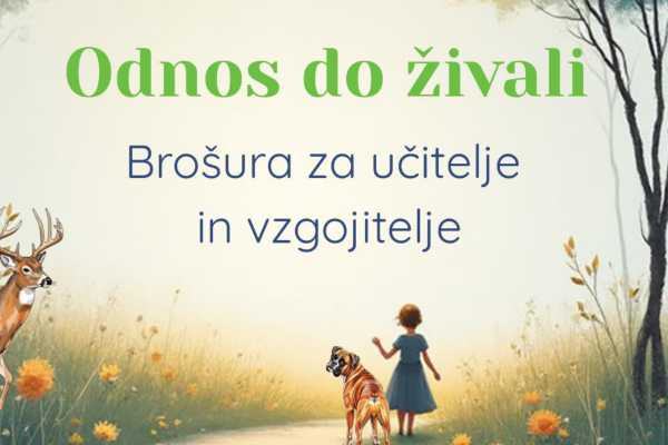 Brošura za vzgojitelje in učitelje